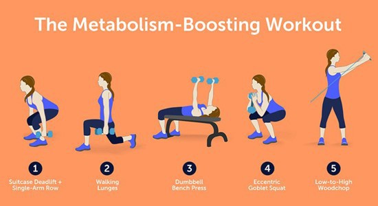 SLU PP 332 Capsules Metabolic Pathway Analysis | Shaanxi BLOOM Tech Co., Ltd SLU PP 332 Capsules Metabolic Pathway Analysis | Shaanxi BLOOM Tech Co., Ltd