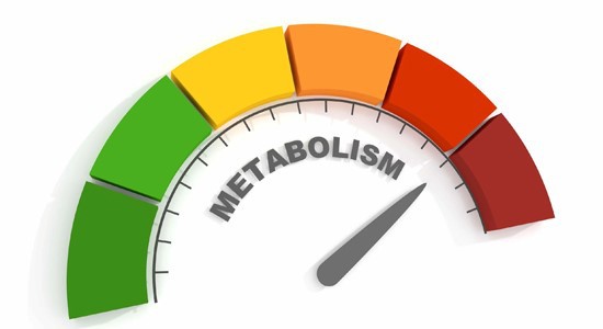 SLU PP 332 Capsules Enhanced Reproducibility In Metabolic Studies | Shaanxi BLOOM Tech Co., Ltd SLU PP 332 Capsules Enhanced Reproducibility In Metabolic Studies | Shaanxi BLOOM Tech Co., Ltd