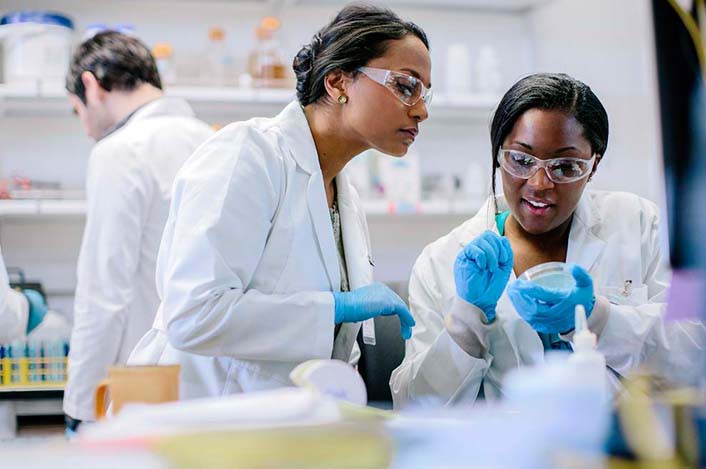 SLU PP 332 Capsules Long-term monitoring | Shaanxi BLOOM Tech Co., Ltd SLU PP 332 Capsules Long-term monitoring | Shaanxi BLOOM Tech Co., Ltd